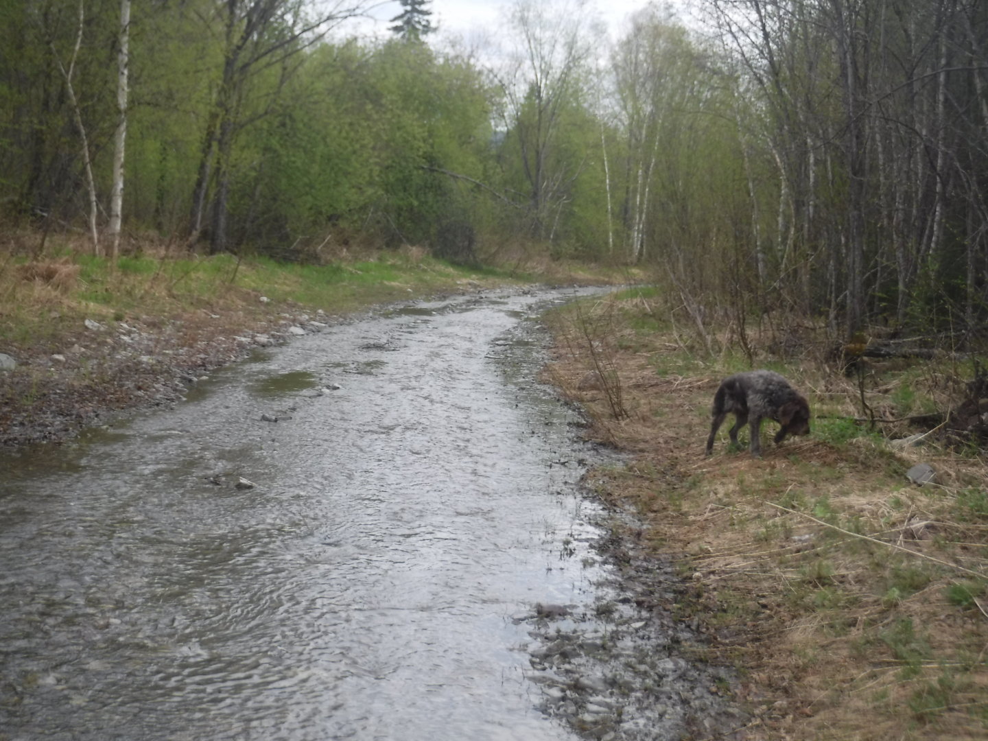 DSCF7218.JPG