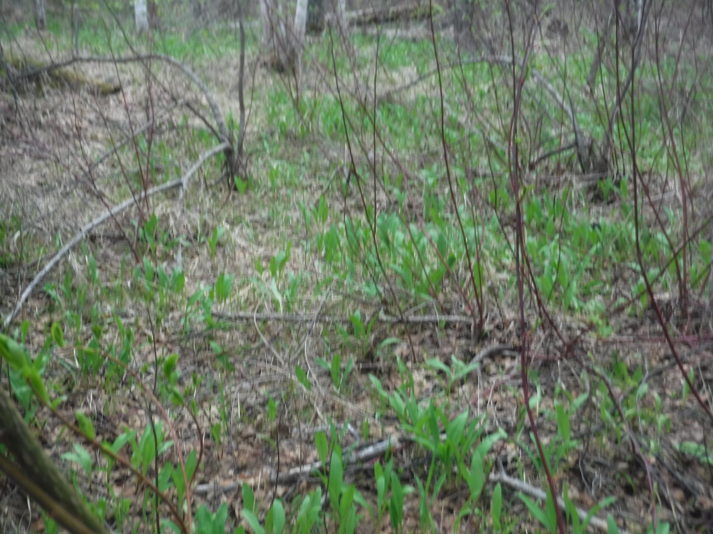 DSCF7222.JPG