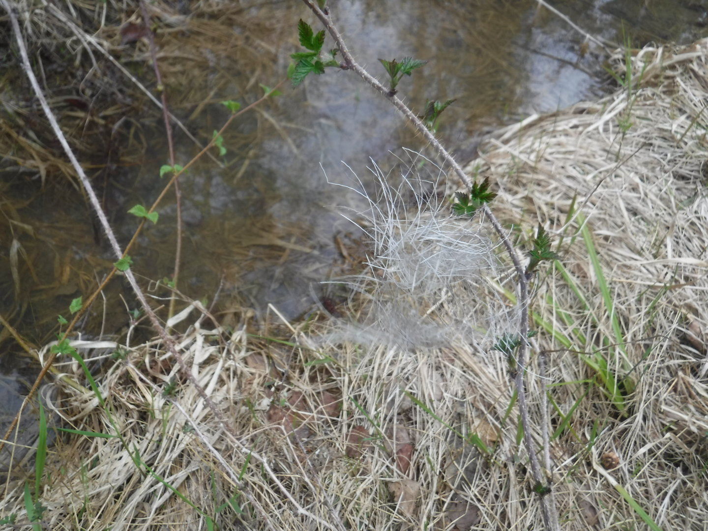 DSCF7229.JPG