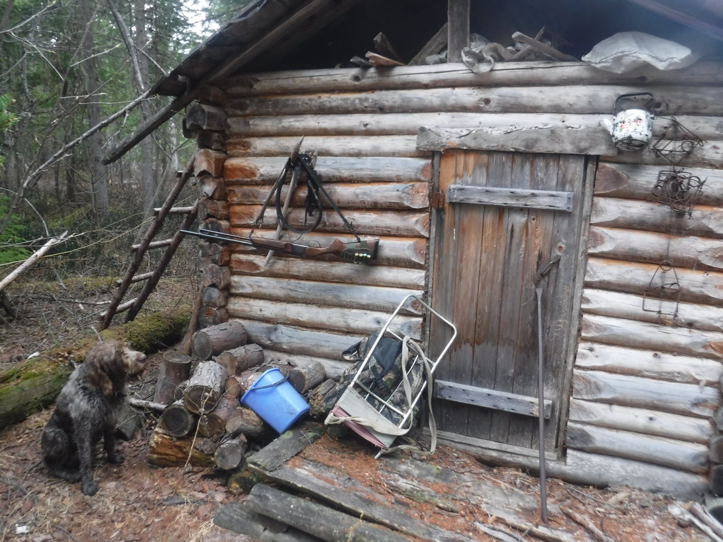 DSCF7236.JPG