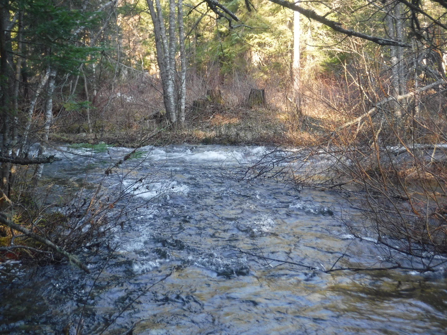 DSCF7241.JPG