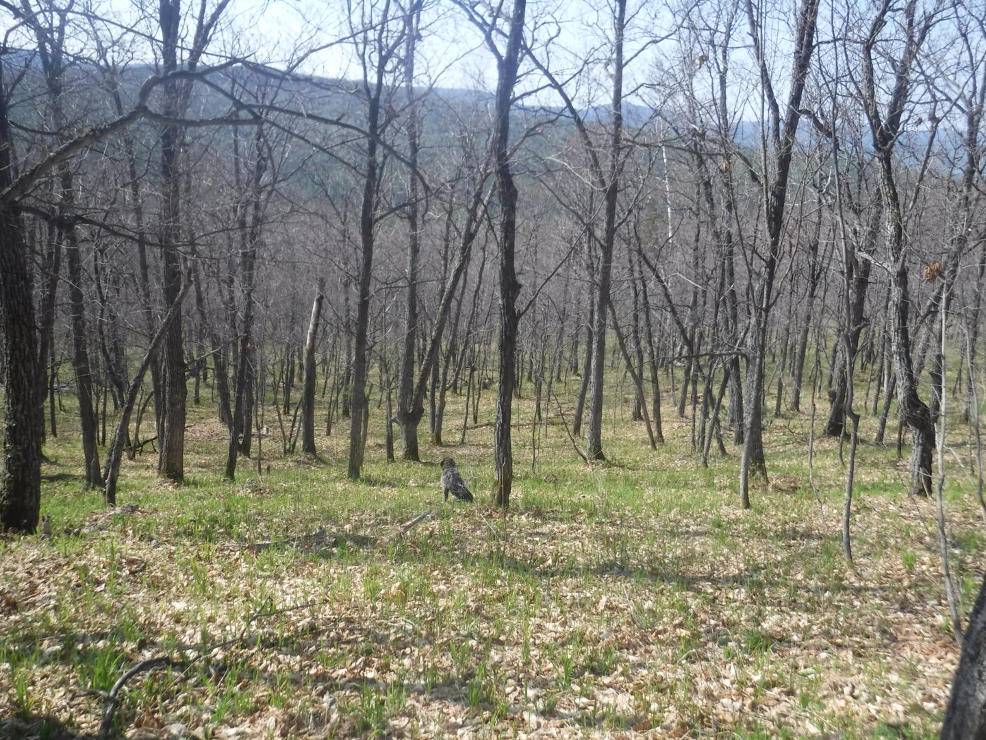 DSCF7252.JPG