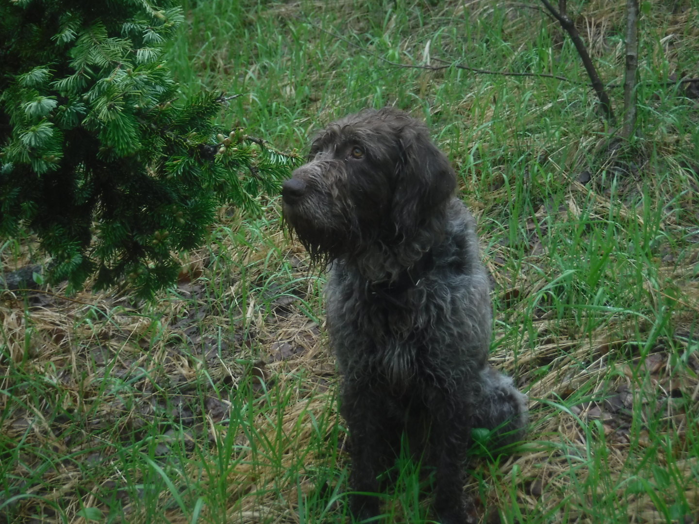 DSCF7267.JPG