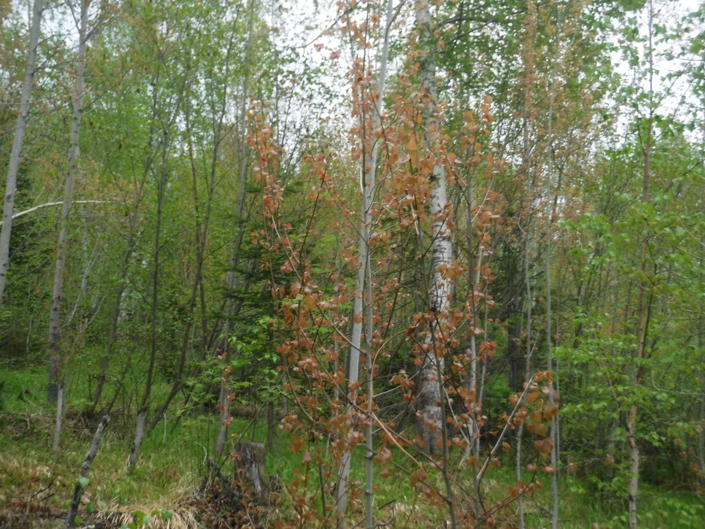 DSCF7280.JPG