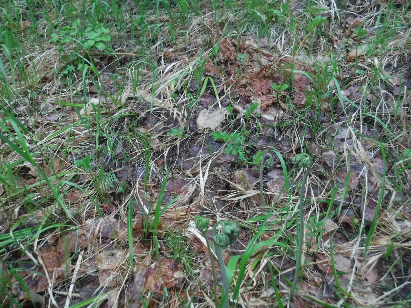 DSCF7281.JPG