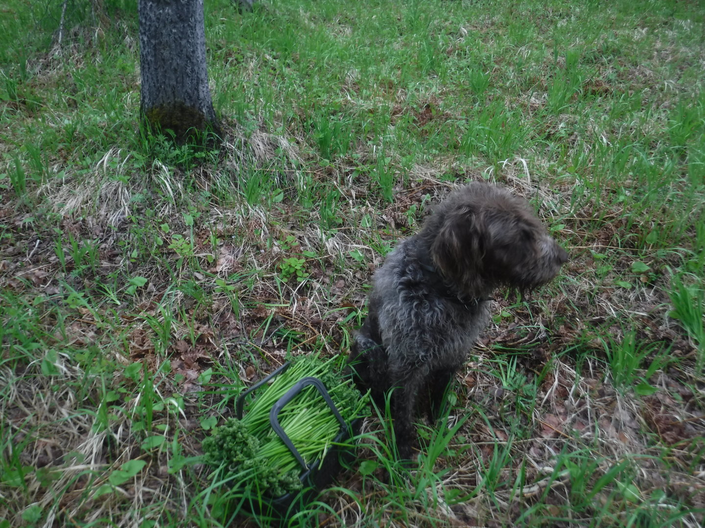 DSCF7285.JPG