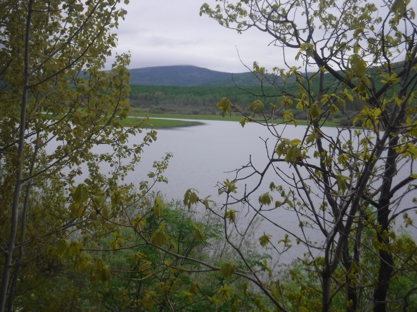 DSCF7301.JPG