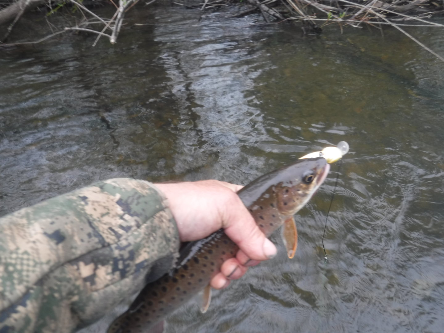 DSCF7305.JPG