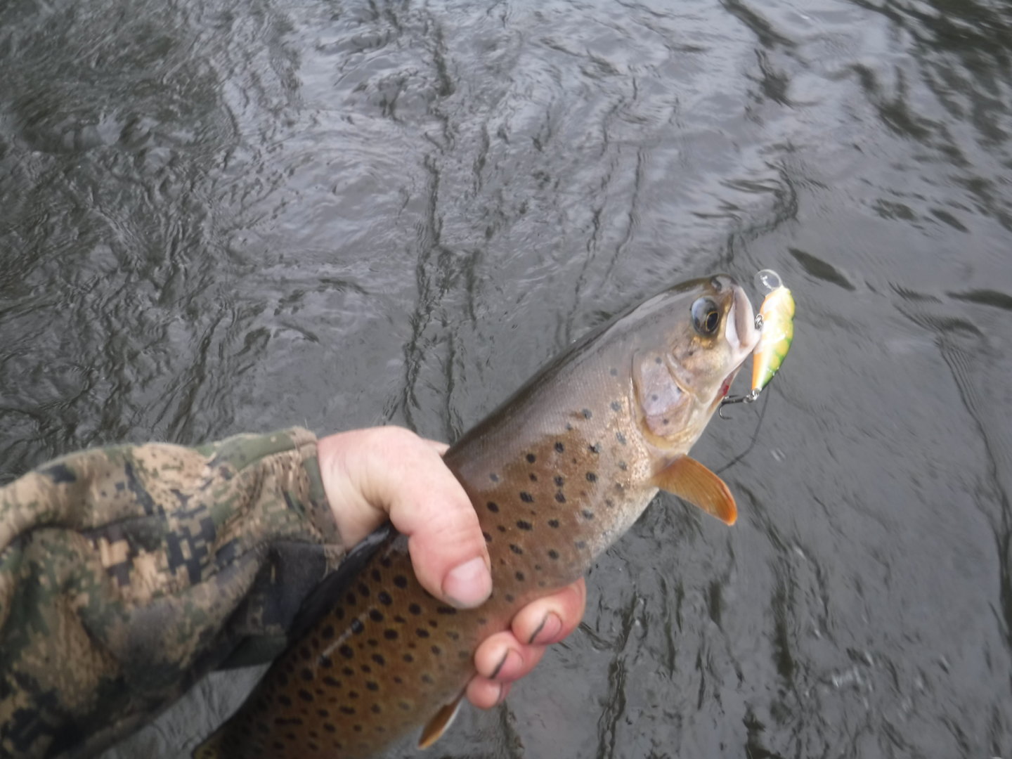DSCF7307.JPG