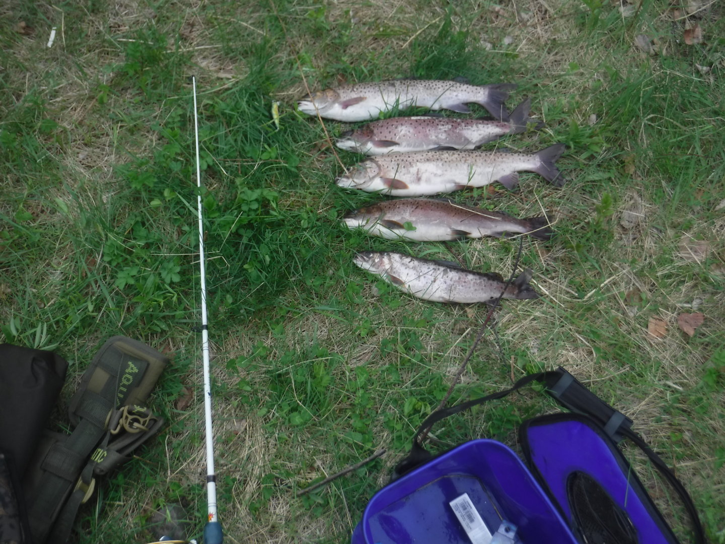 DSCF7312.JPG