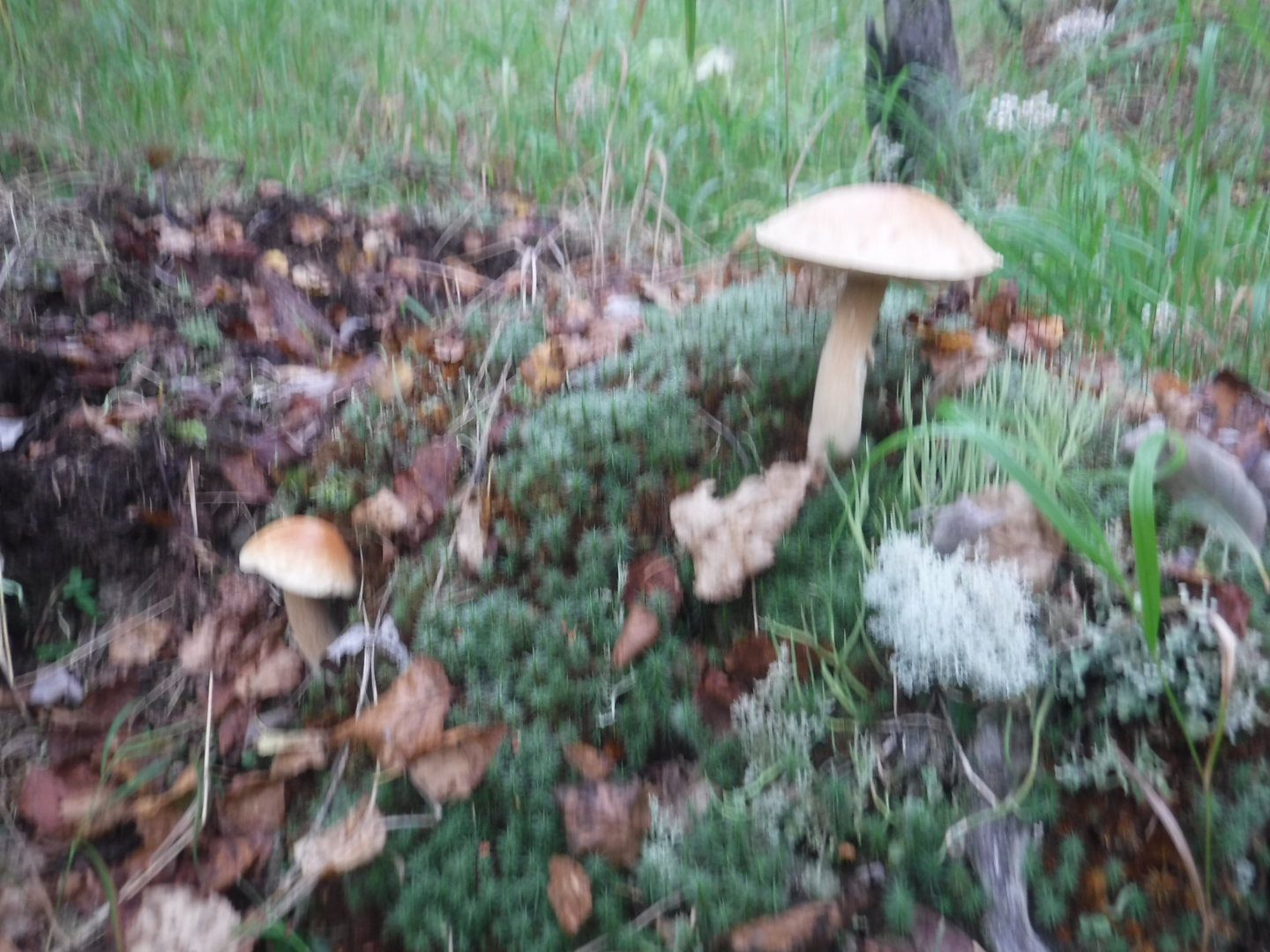 DSCF7390.JPG