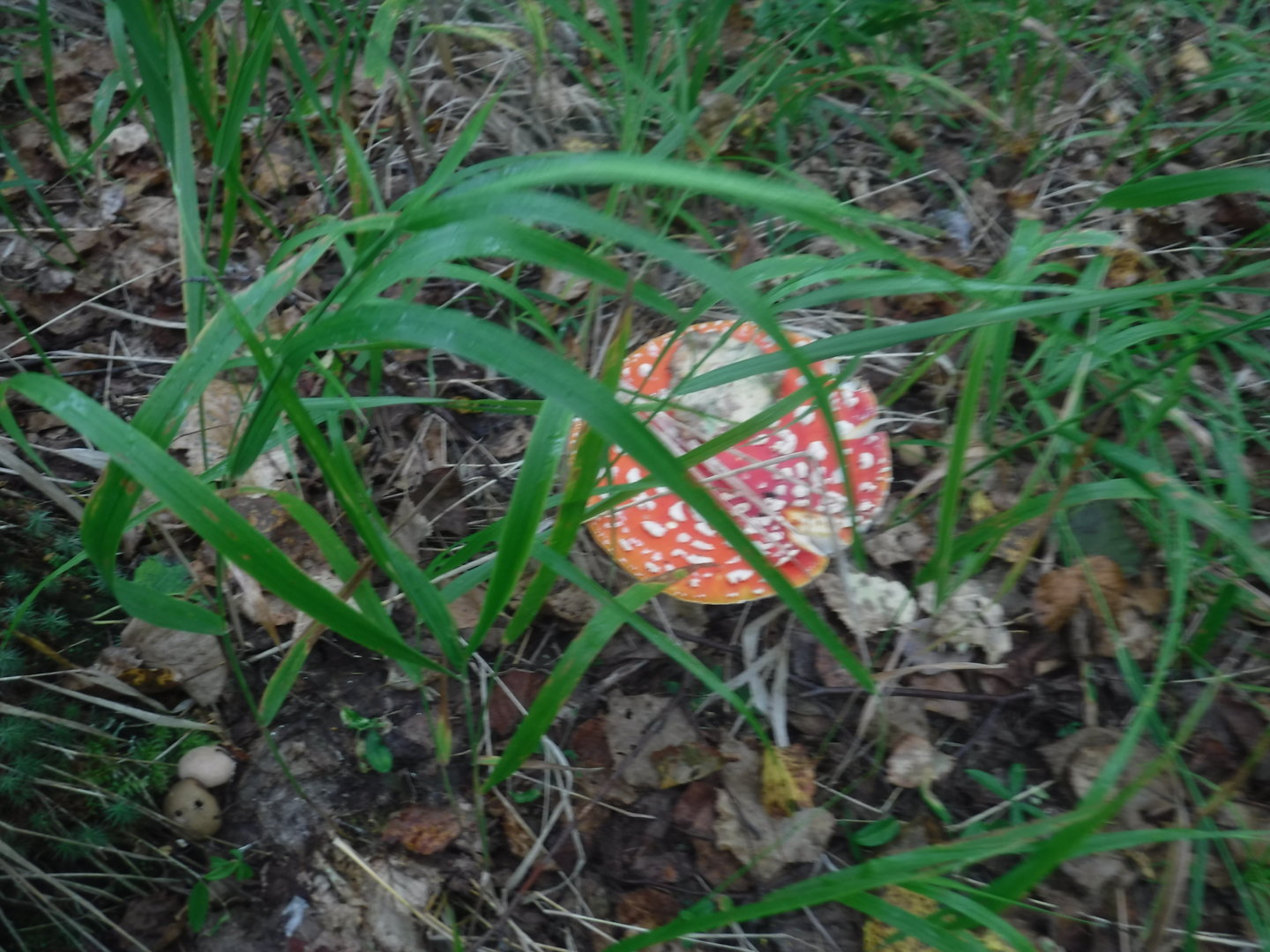 DSCF7399.JPG