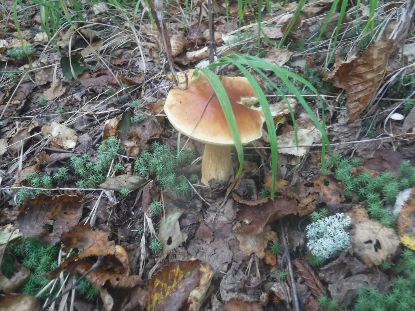 DSCF7409.JPG