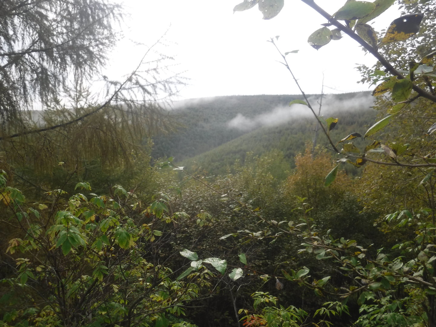 DSCF7414.JPG