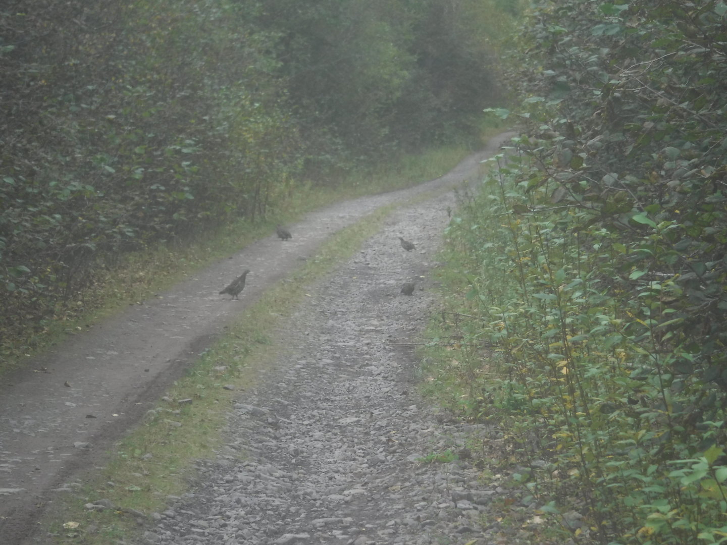 DSCF7423.JPG