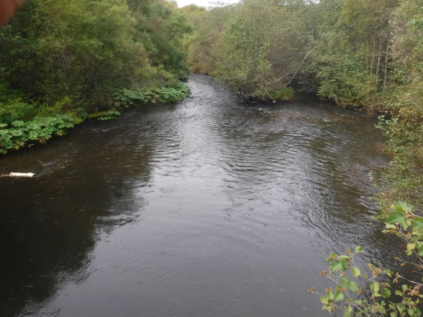DSCF7430.JPG
