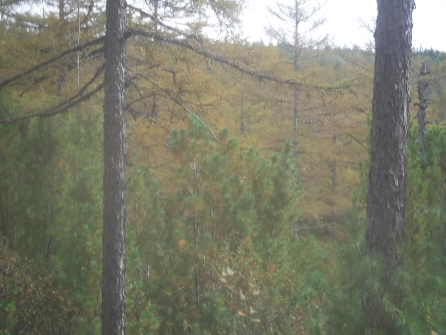 DSCF7431.JPG