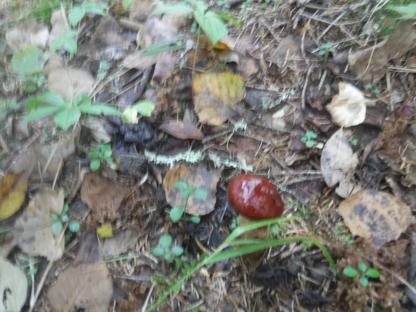 DSCF7460.JPG