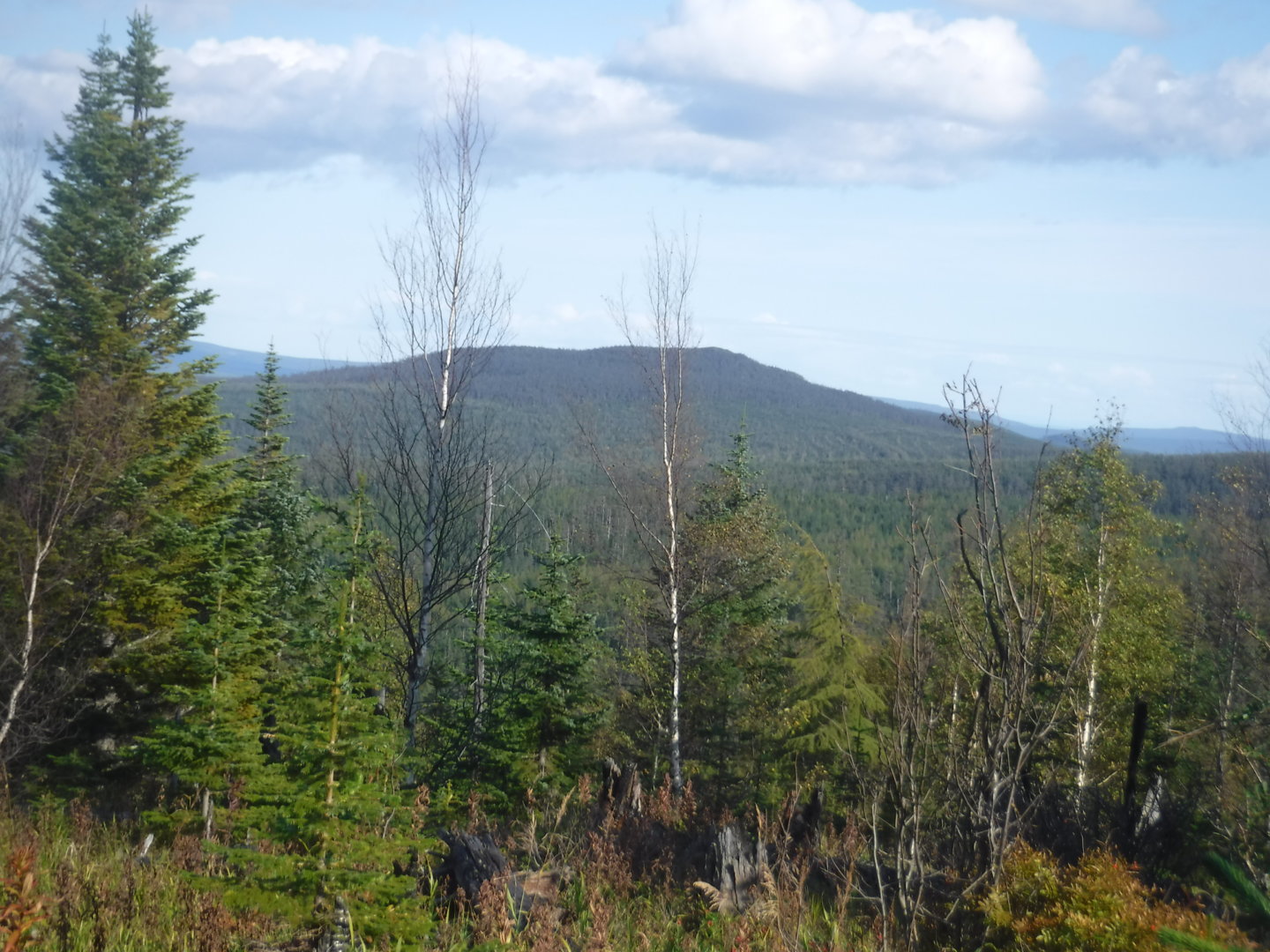 DSCF7472.JPG