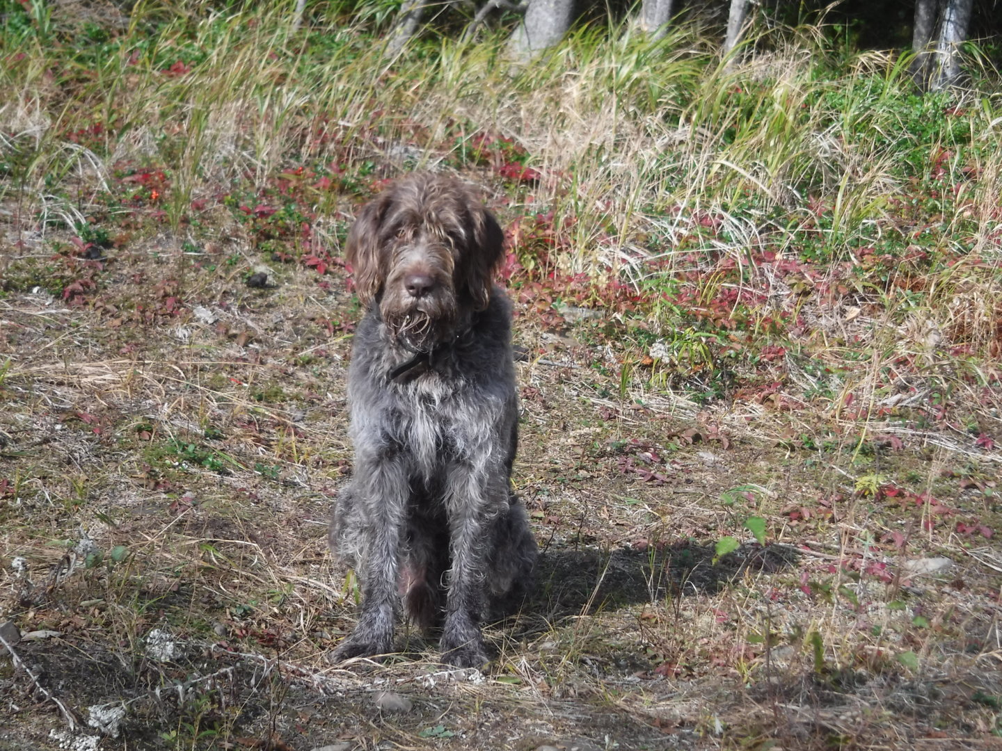 DSCF7478.JPG