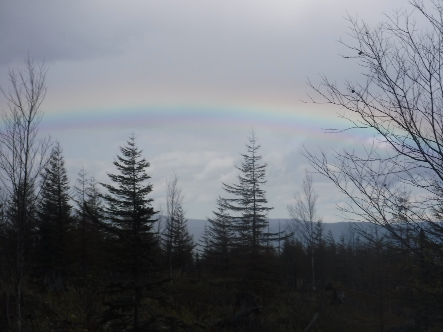 DSCF7485.JPG