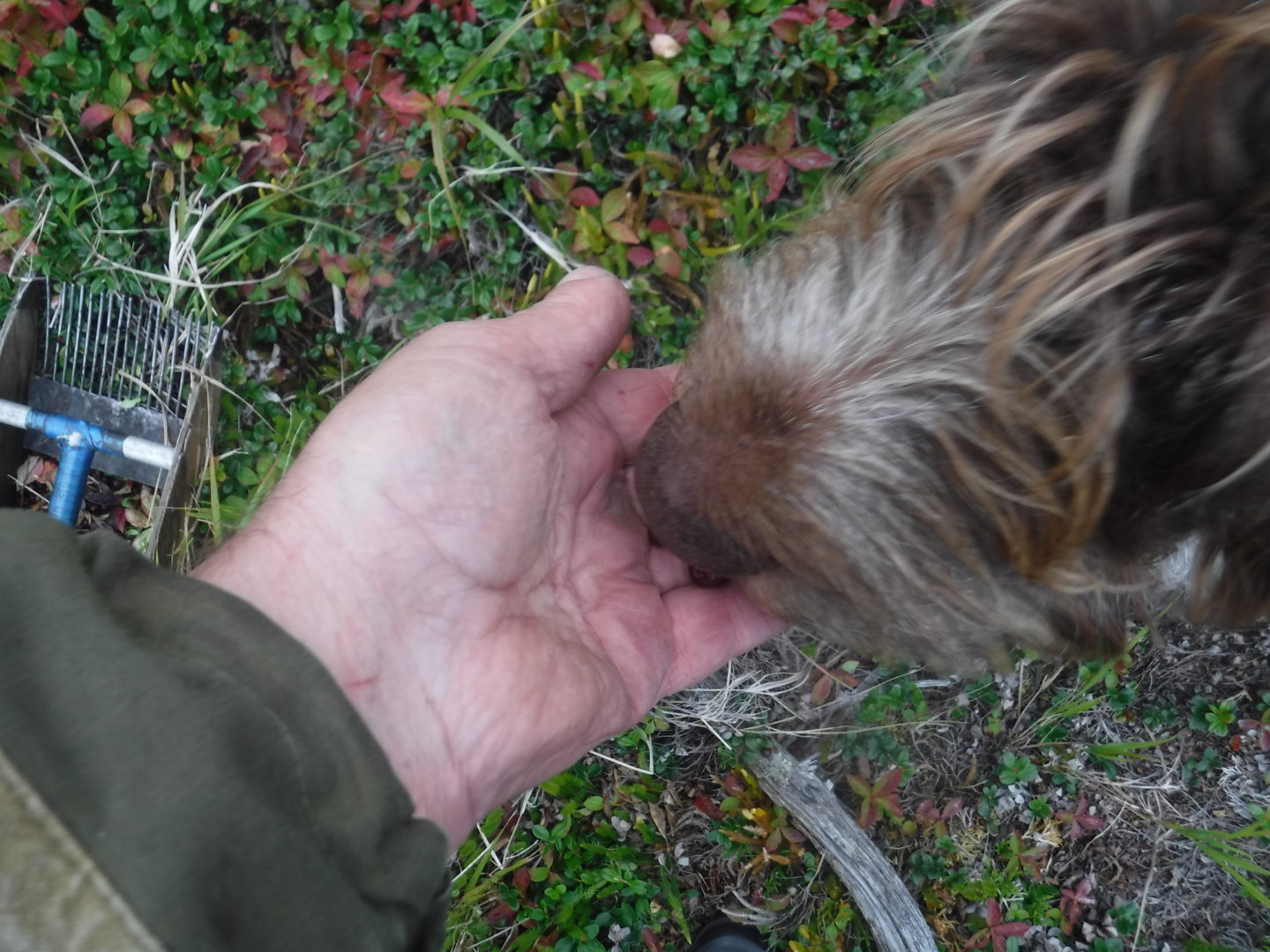 DSCF7488.JPG