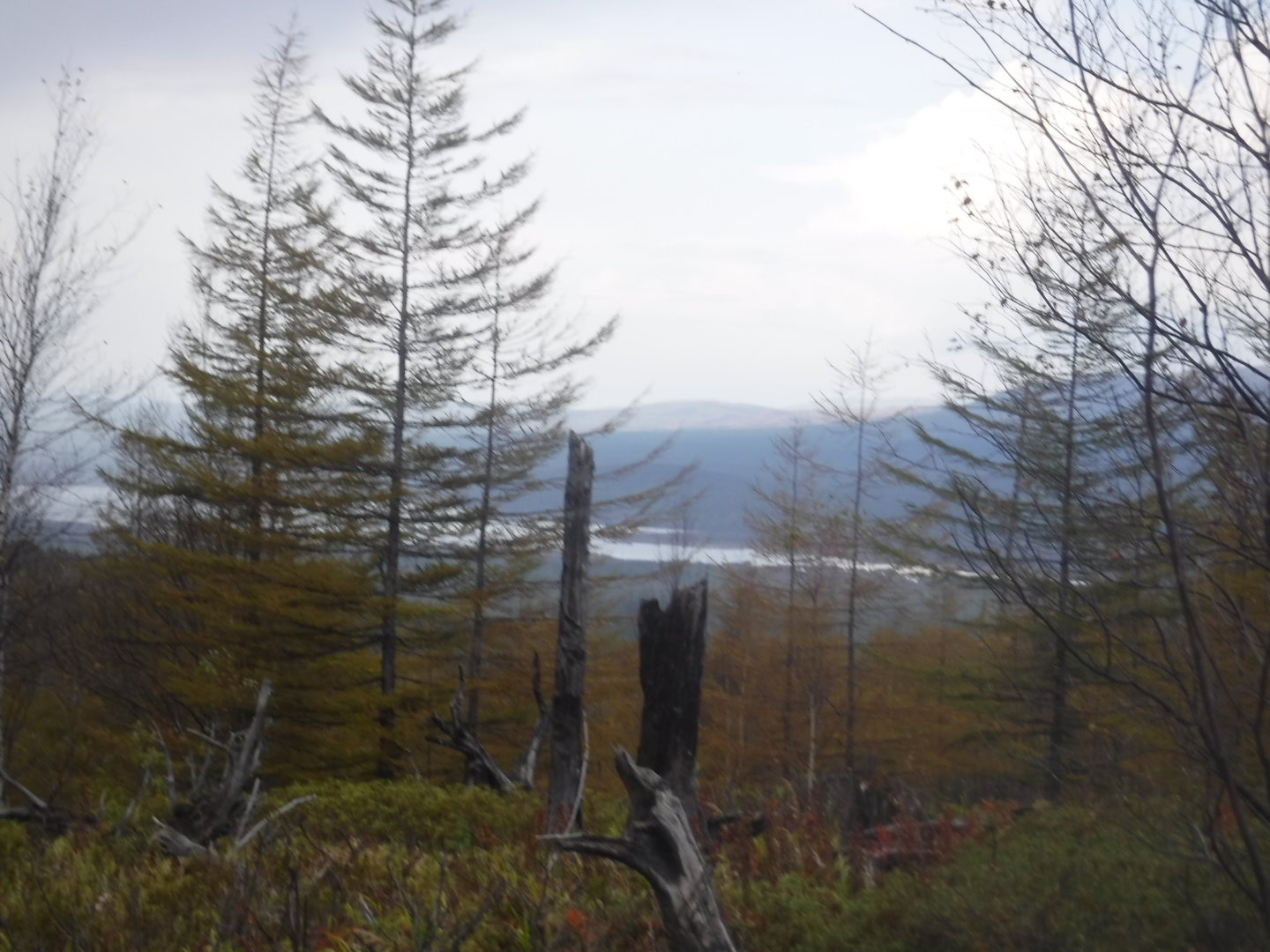 DSCF7490.JPG