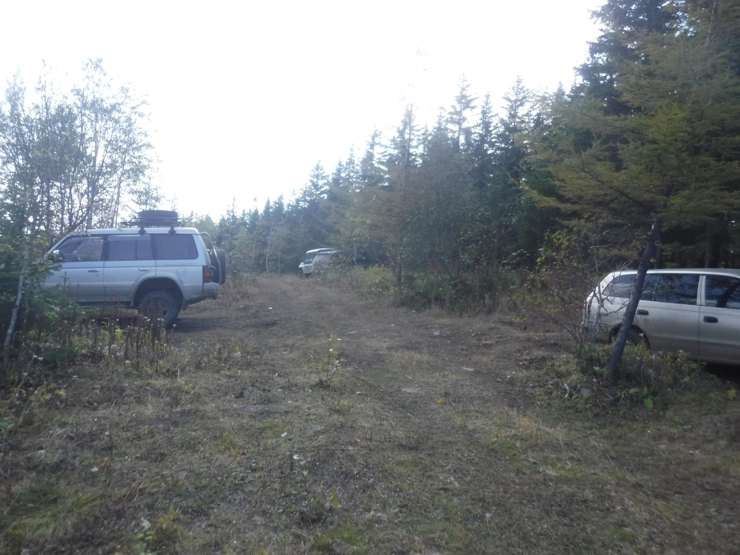 DSCF7510.JPG