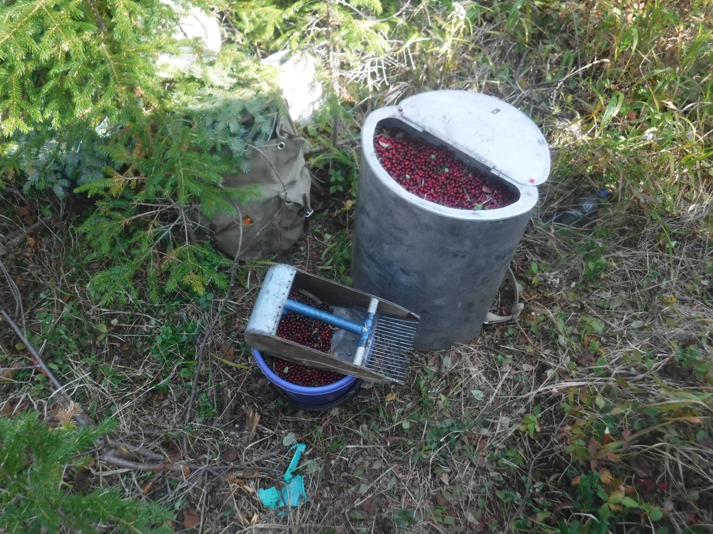 DSCF7511.JPG