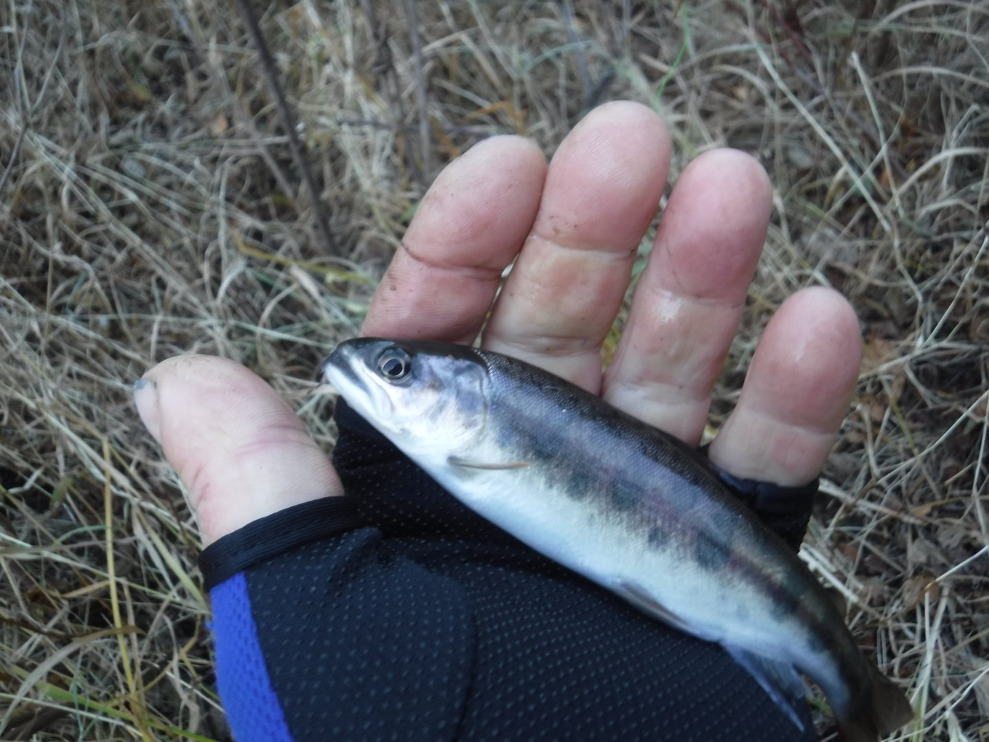 DSCF7514.JPG