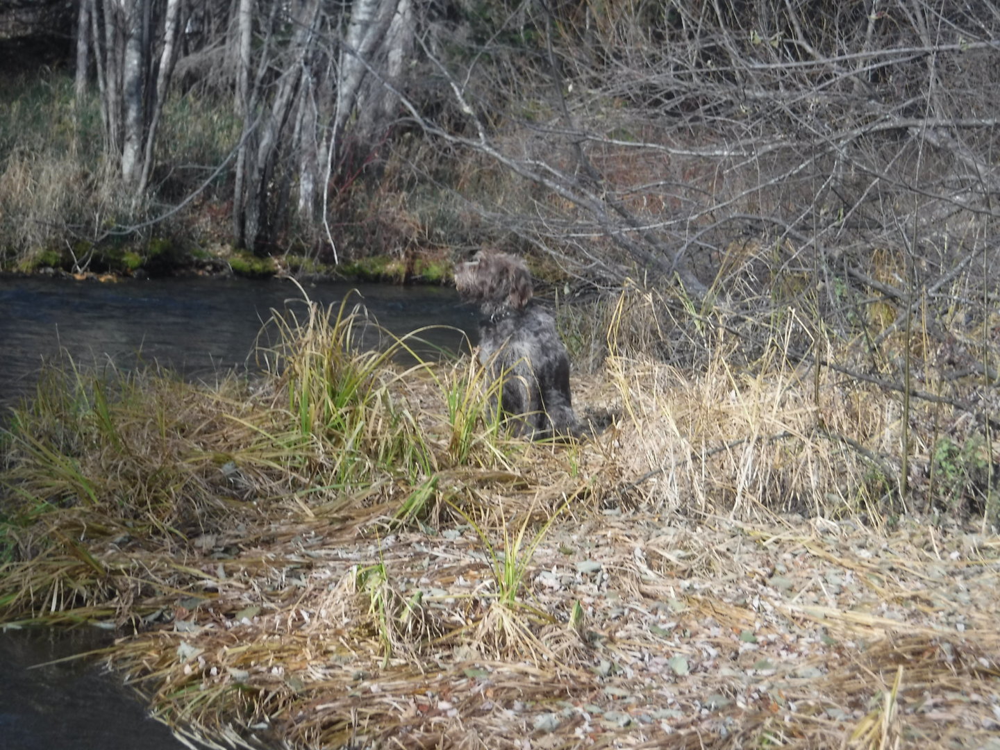 DSCF7518.JPG