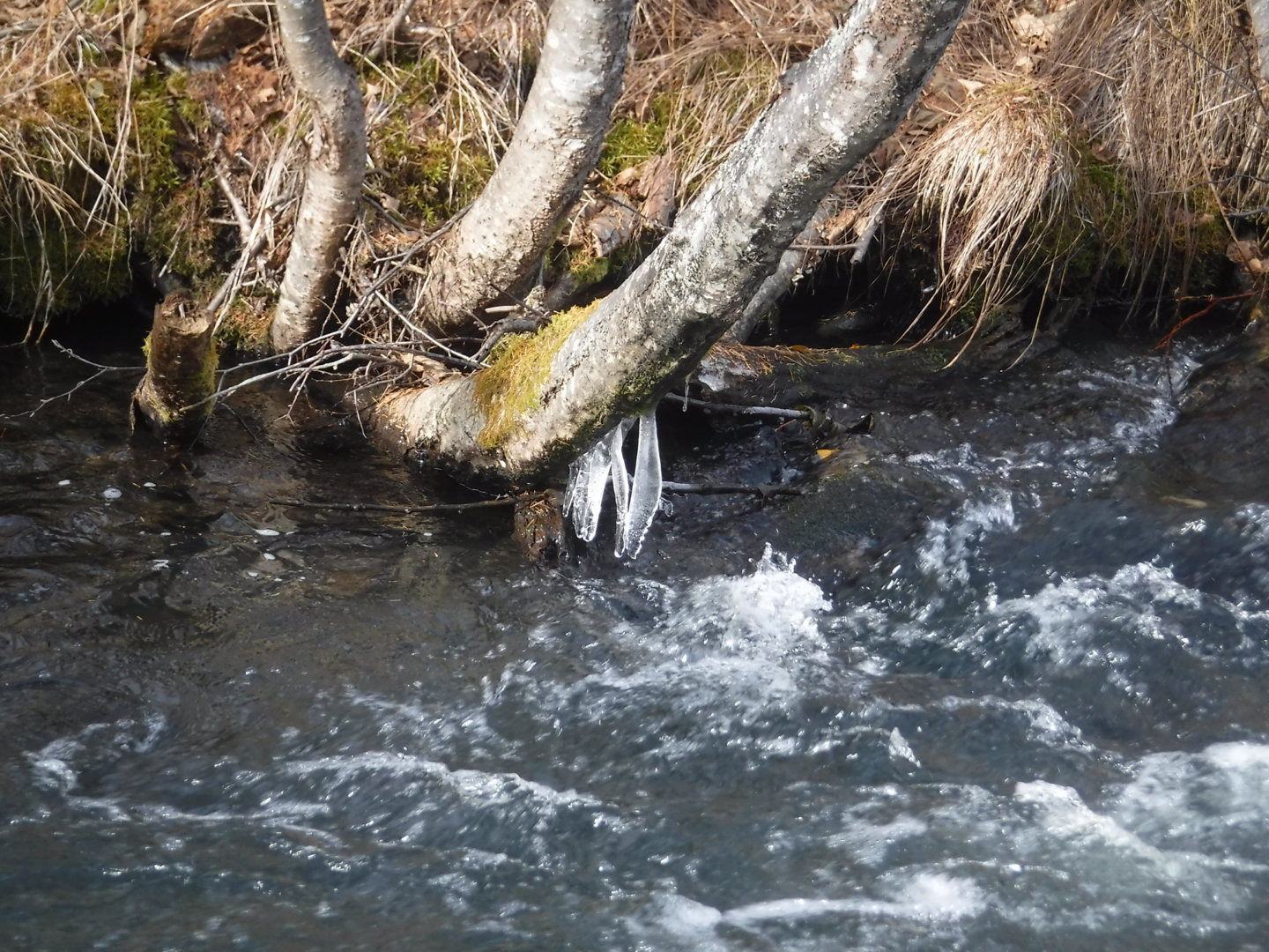 DSCF7522.JPG