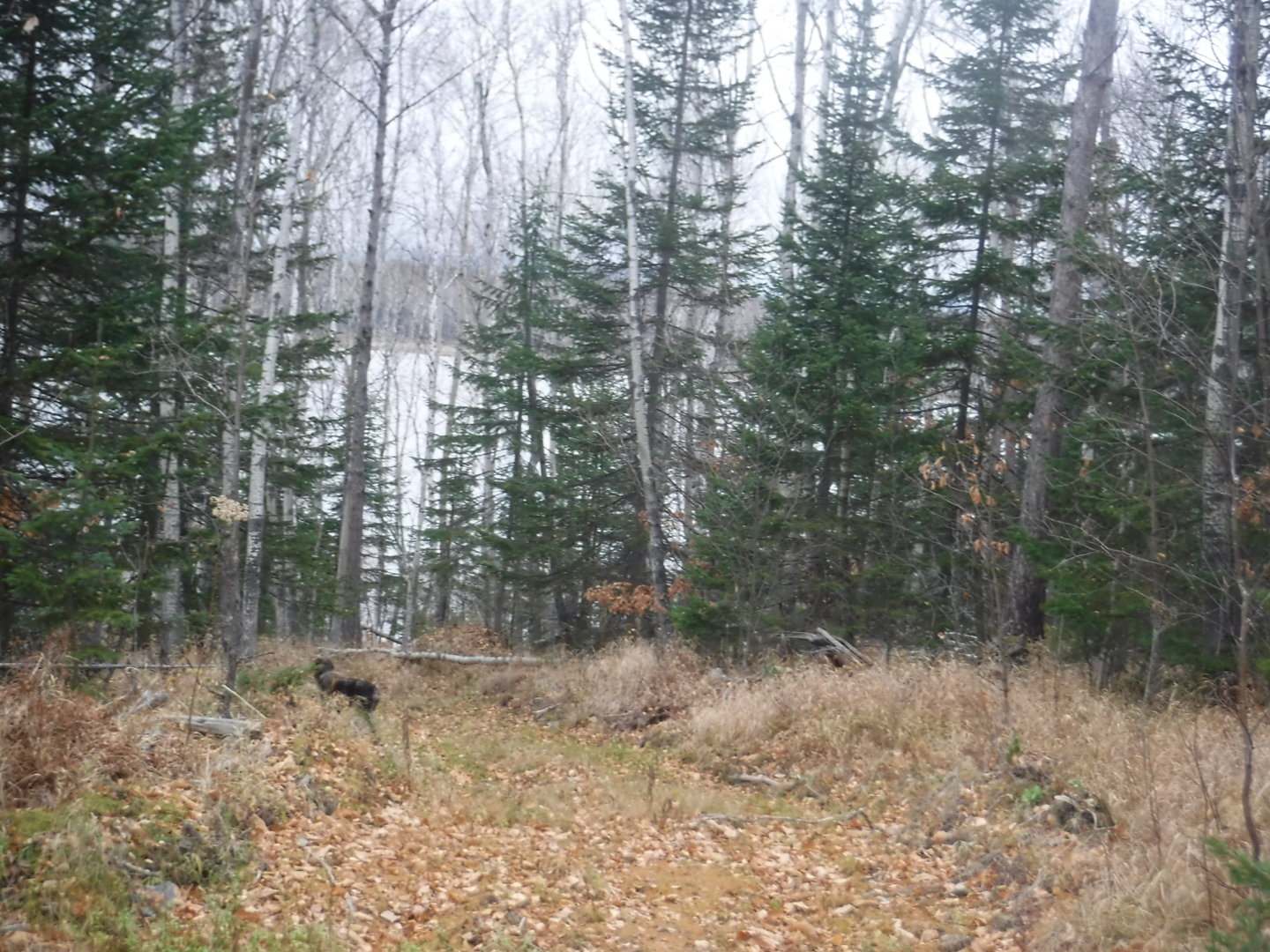 DSCF7529.JPG