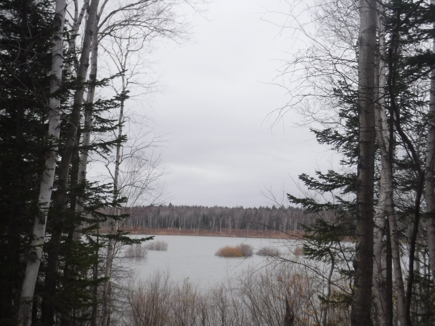 DSCF7530.JPG