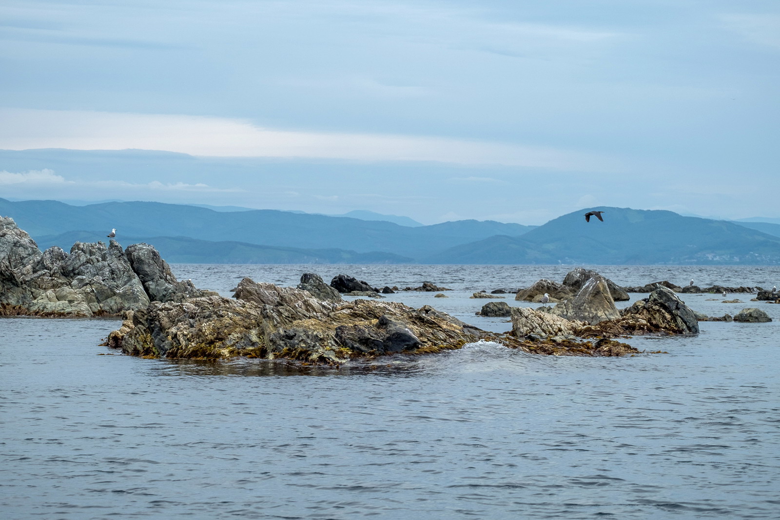 DSCF7600-2.jpg