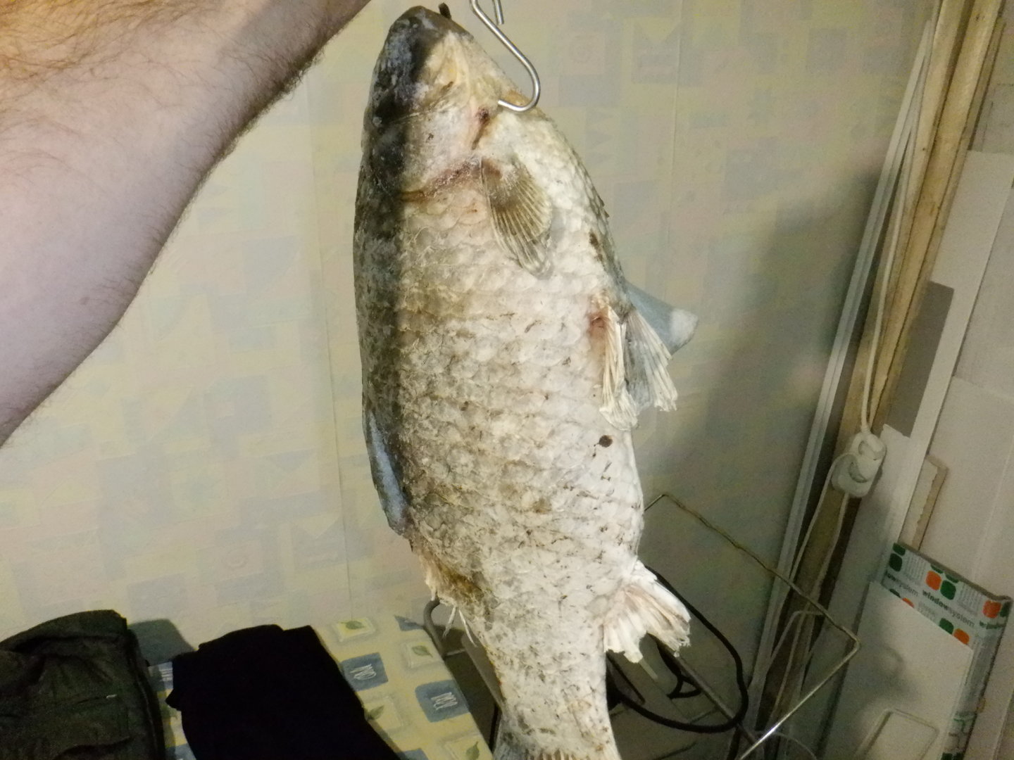 DSCF7633.JPG