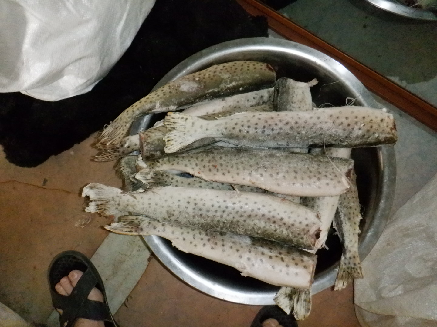DSCF7639.JPG