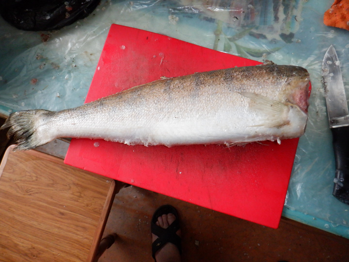 DSCF7641.JPG