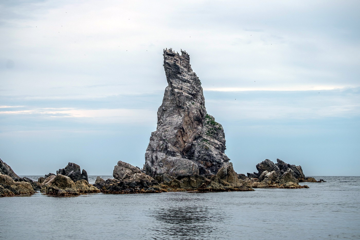 DSCF7653.jpg