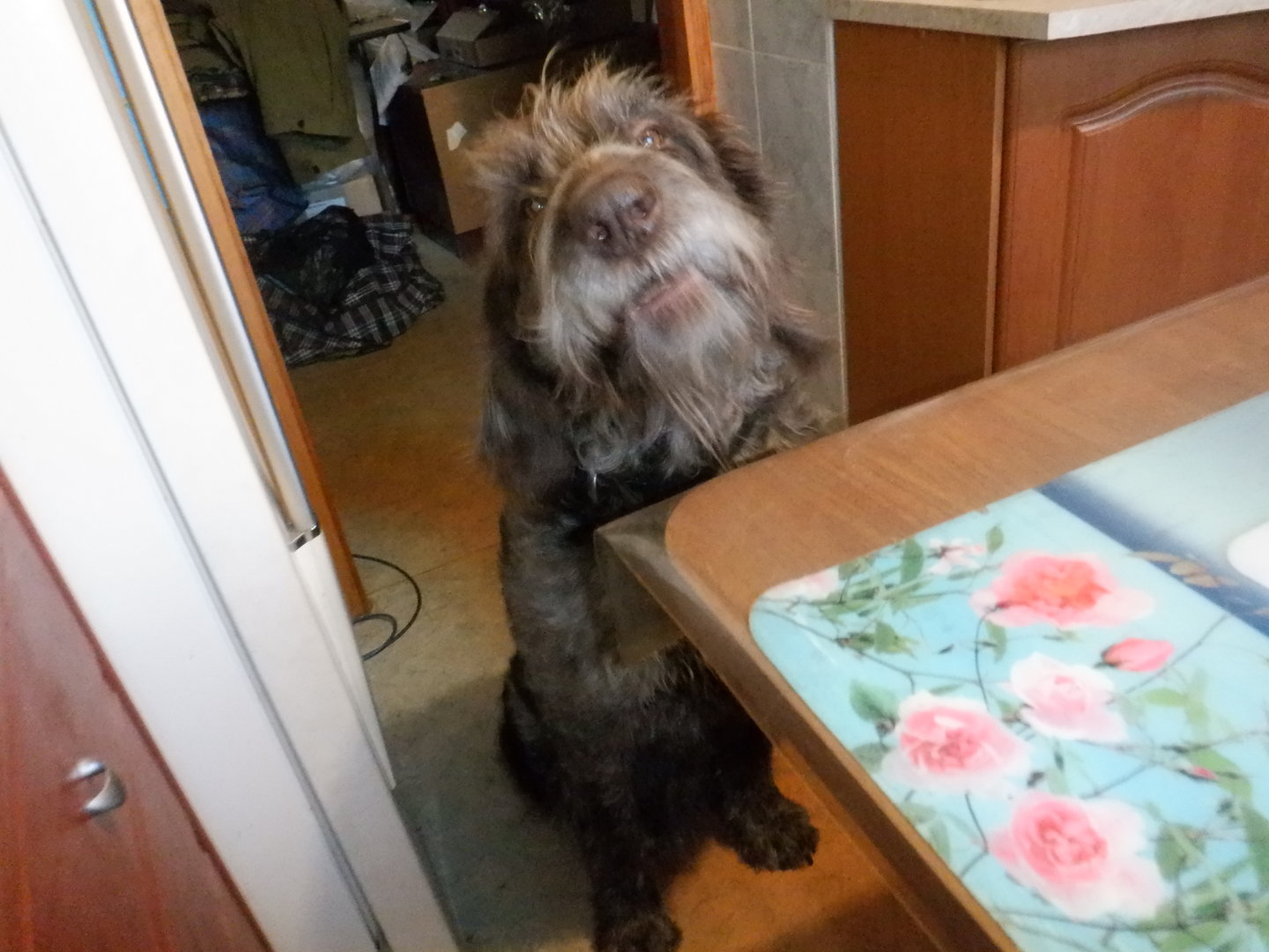 DSCF7700.JPG