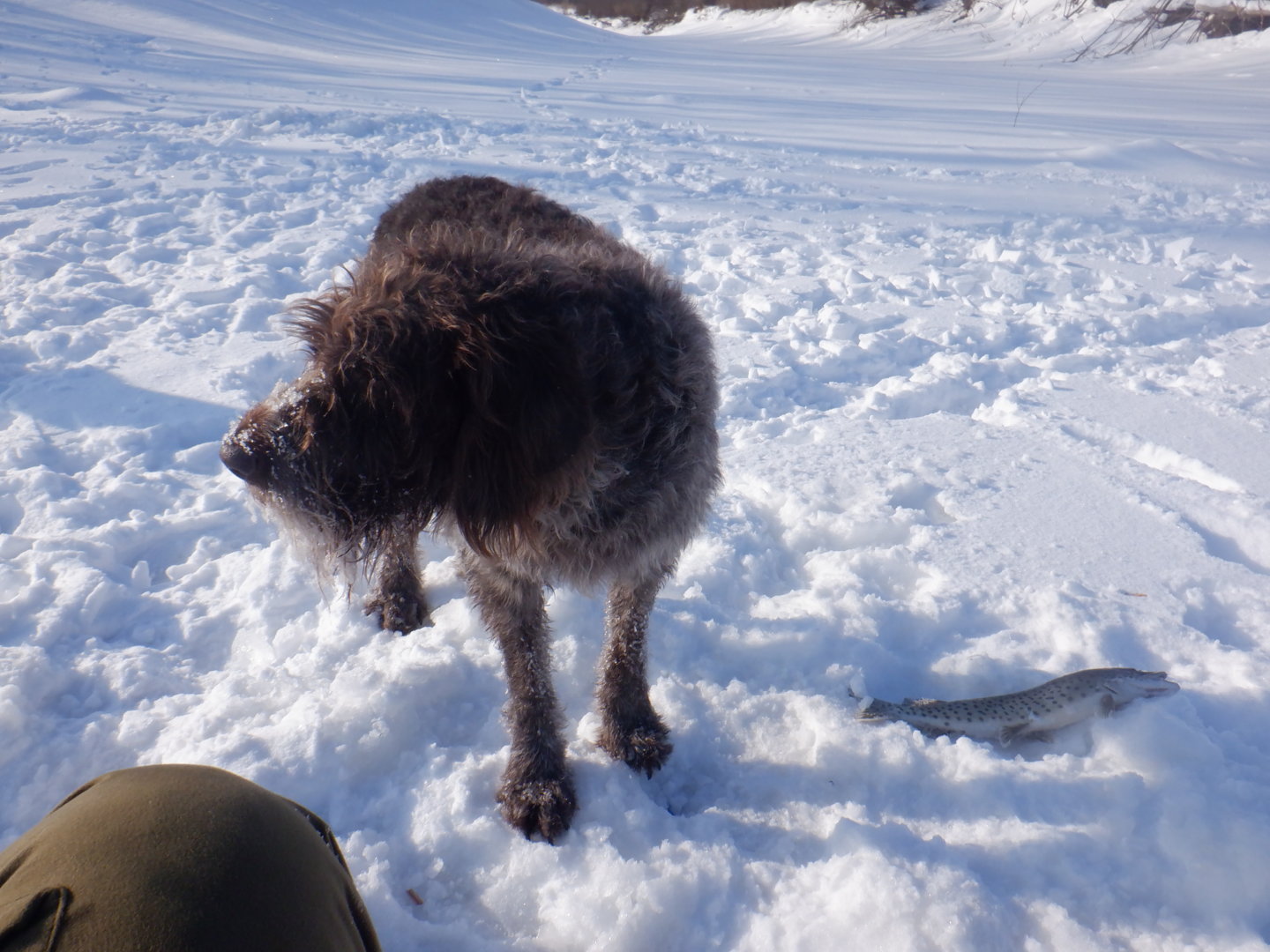 DSCF7720.JPG