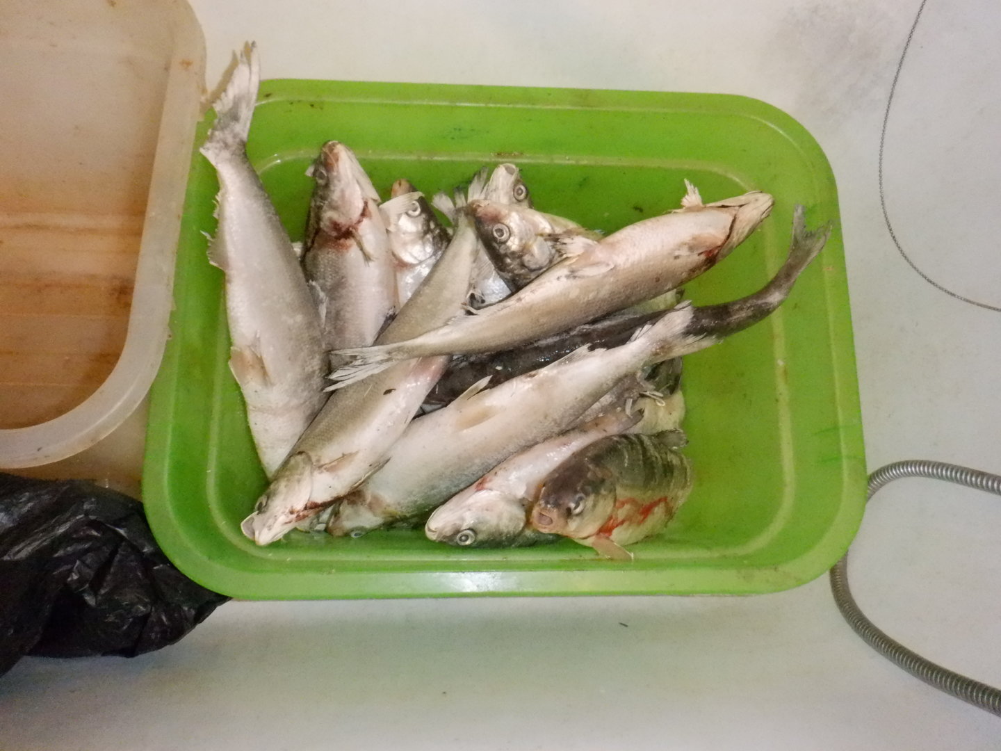 DSCF7762.JPG