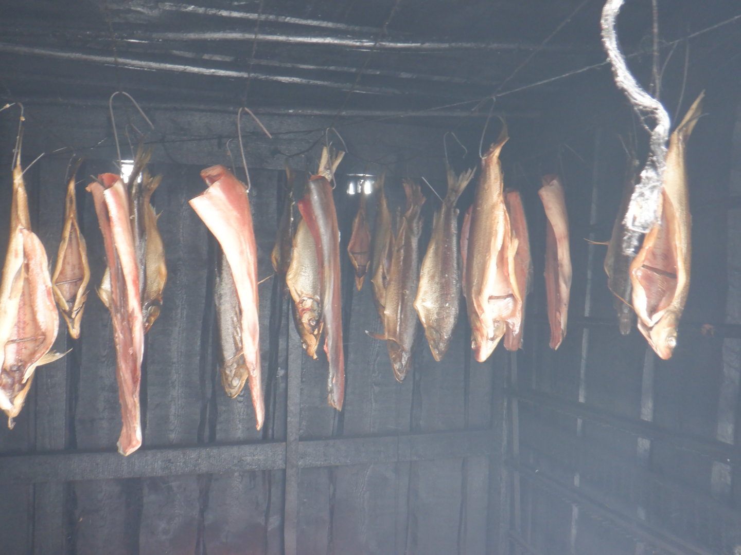 DSCF7770.JPG