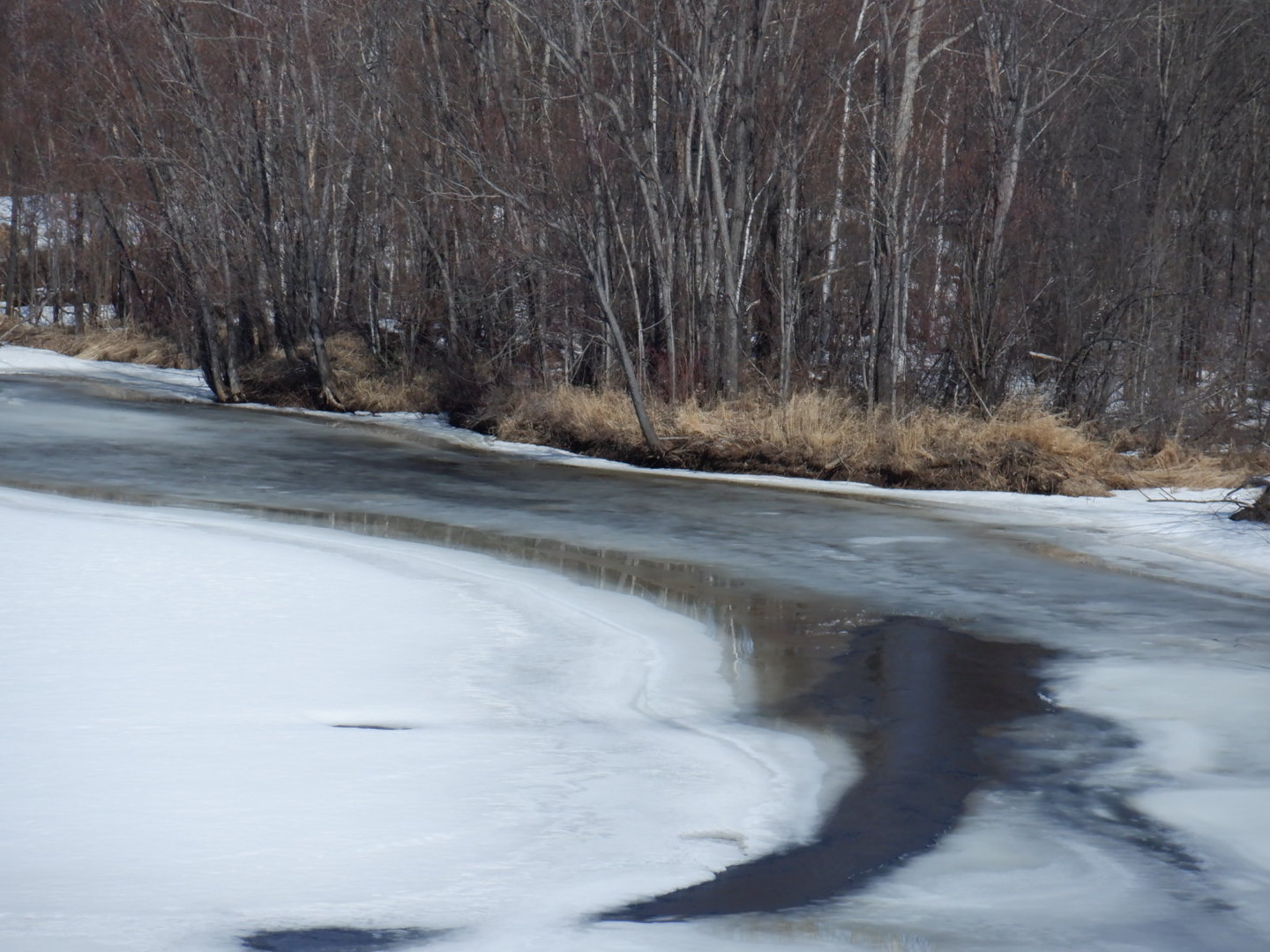 DSCF7796.JPG