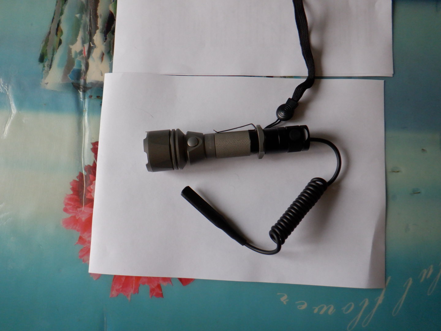 DSCF7809.JPG