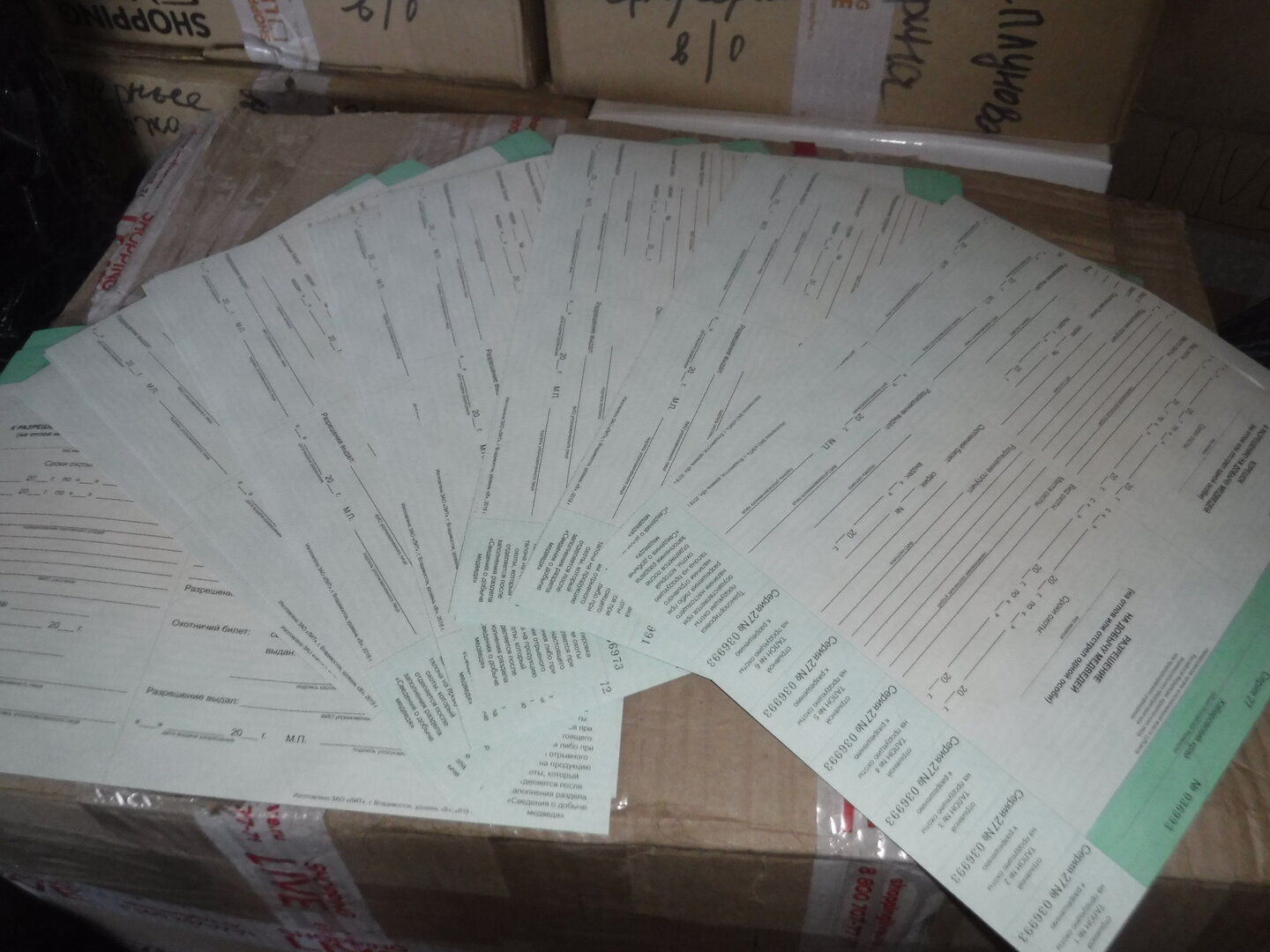 DSCF7809.JPG