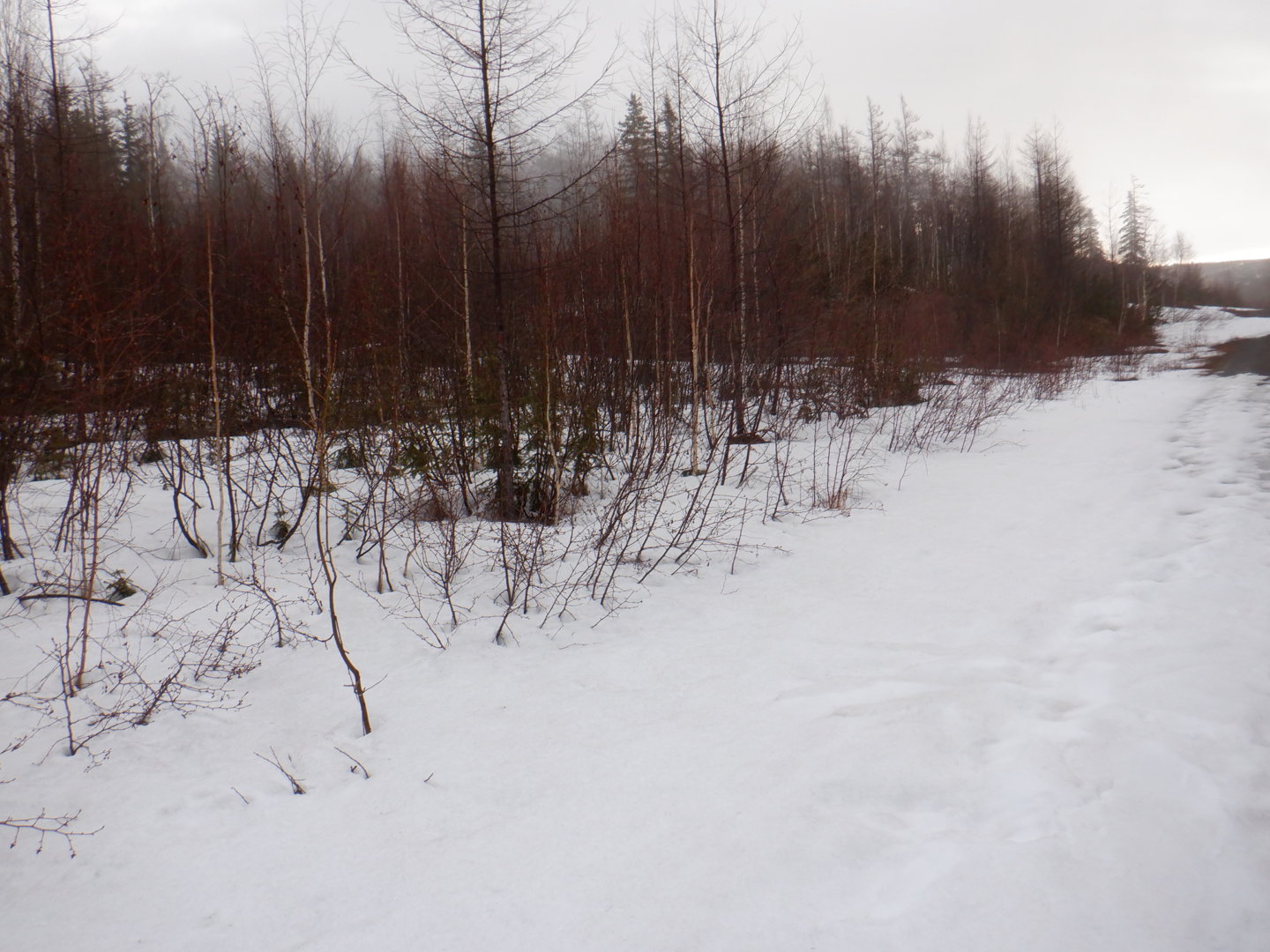 DSCF7832.JPG