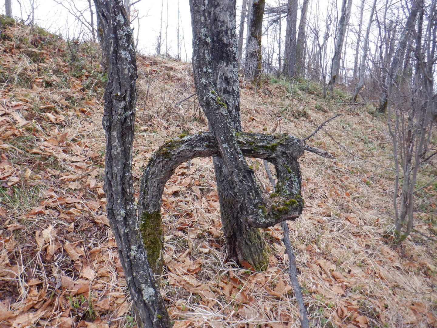 DSCF7837.JPG