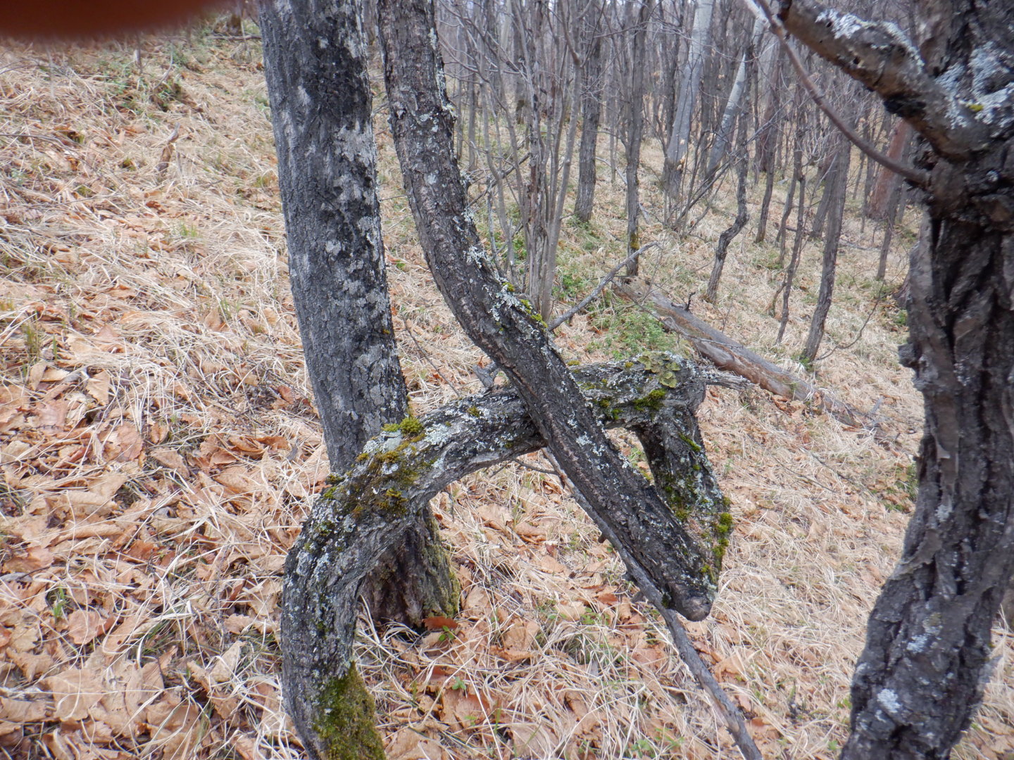 DSCF7838.JPG