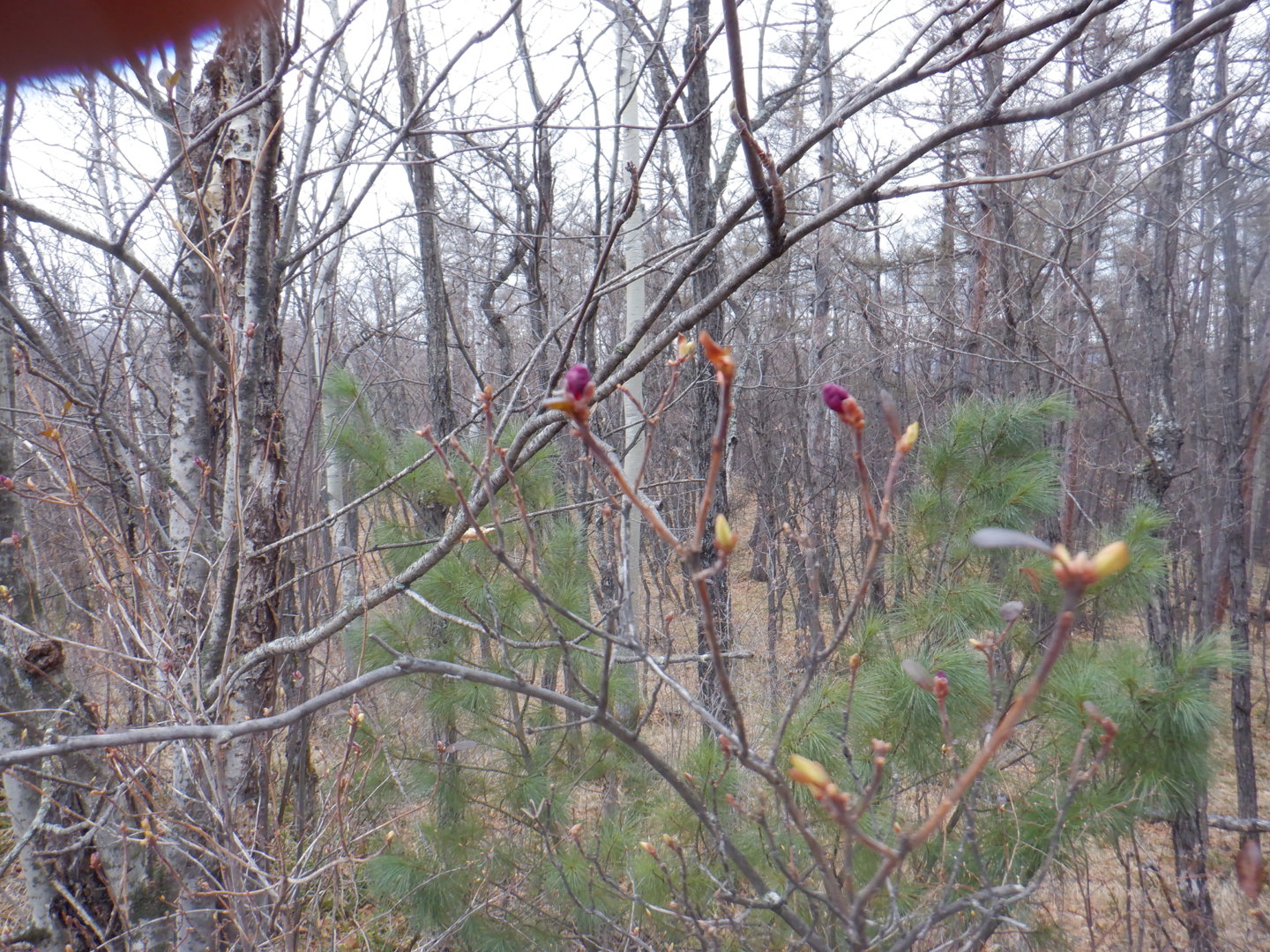 DSCF7840.JPG